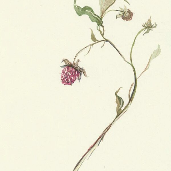 Sold Located in a private collection