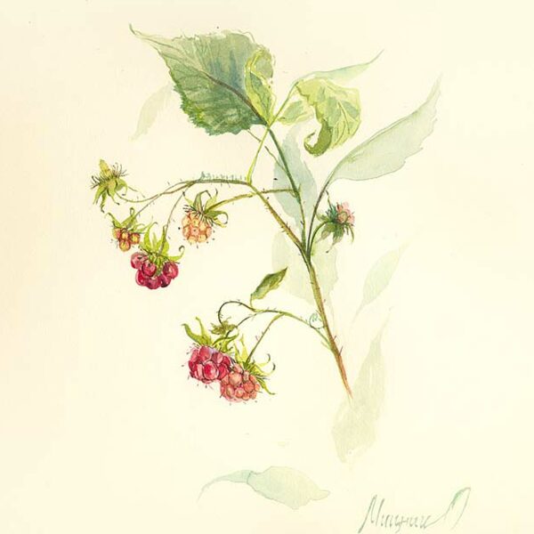 Sold Located in a private collection