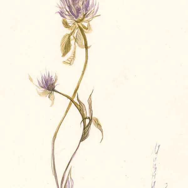 Sold Located in a private collection