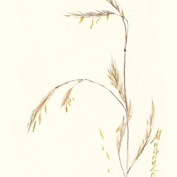 Sold Located in a private collection