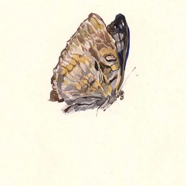 Sold Located in a private collection