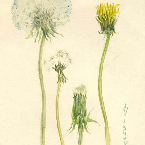 Оксана Мицник серия "Природа урала" Работа продана. Находится в частной коллекции