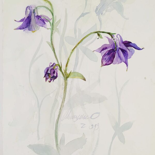 Водозбор 16х 21 см. 2019 г. Оксана Мицник Работа продана. Находится в частной коллекции   