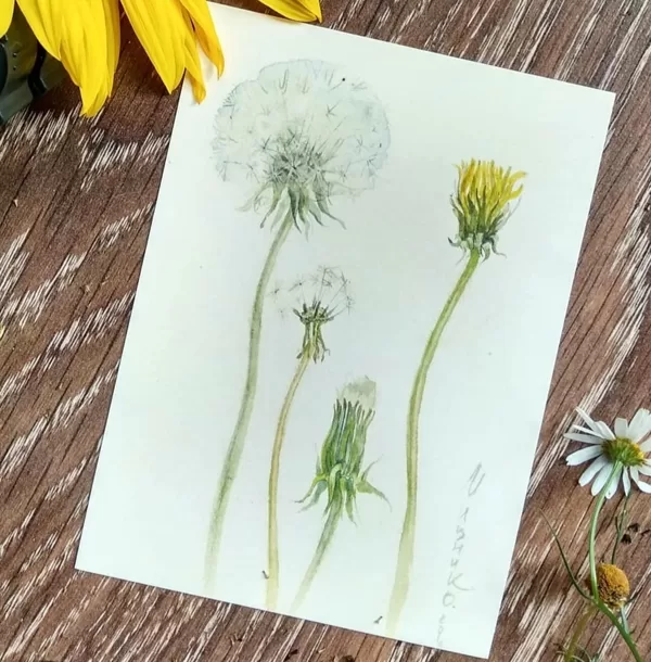 Oksana Mitcnik "Ural Botanical"