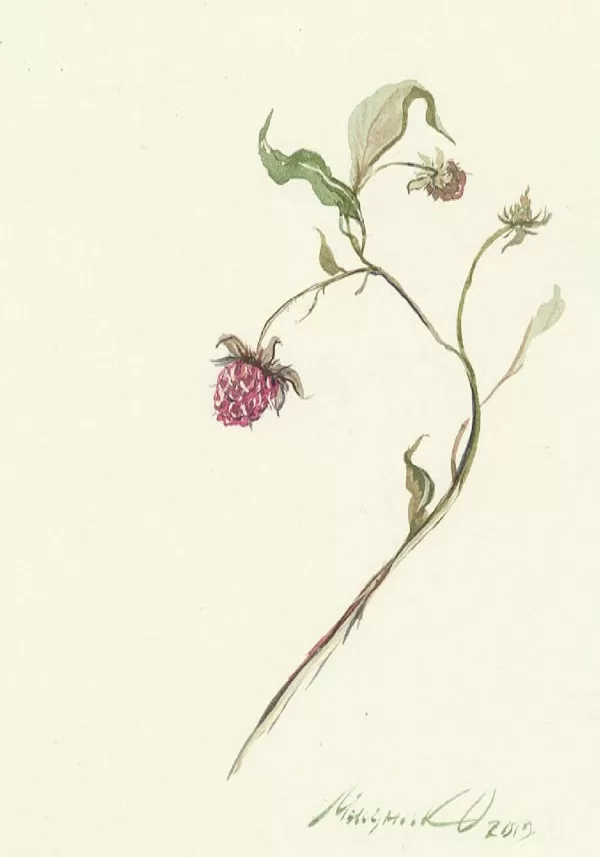 Sold Located in a private collection