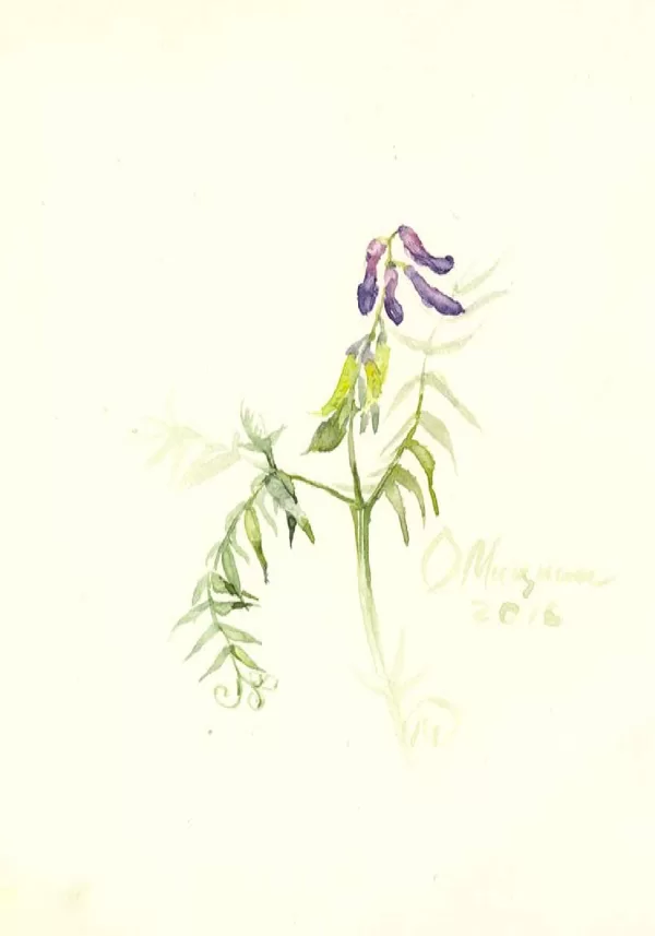 Sold Located in a private collection