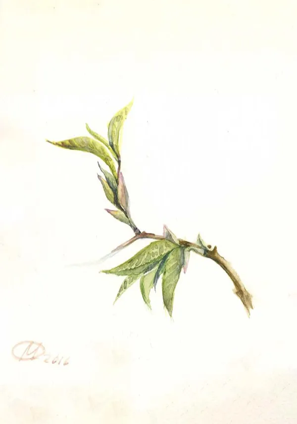 Sold Located in a private collection