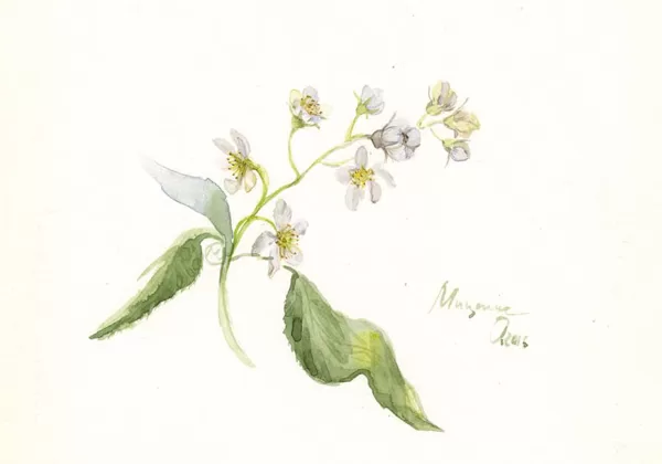 Sold Located in a private collection