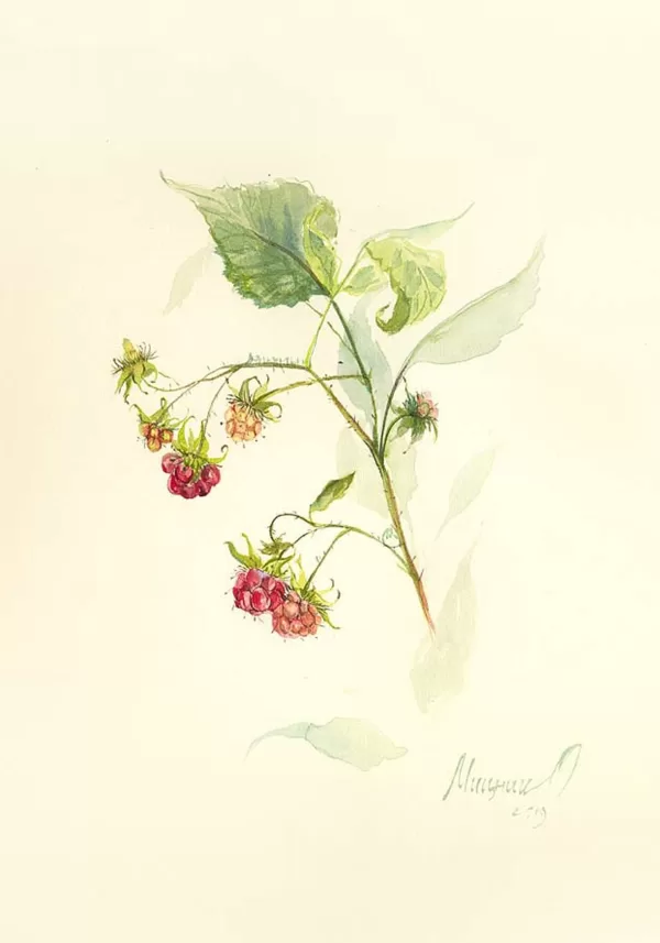 Sold Located in a private collection