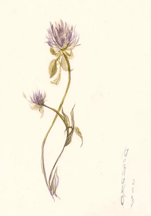 Sold Located in a private collection