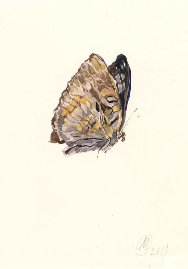 Sold Located in a private collection